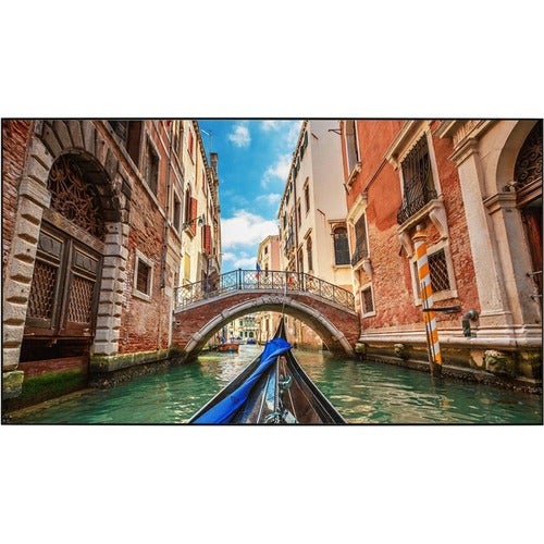 Viewsonic BrilliantColorPanel BCP120 120" Projection Screen - 16:9
