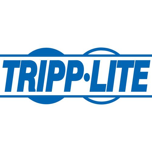 Tripp Lite EXTERNAL UPS BATTERY PACK 100AH NO BATT