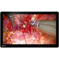 EIZO CuratOR EX2620-3D 26" Full HD LED LCD Monitor - 16:9 - Black, White - 1920 x 1080 - 1.07 Billion Colors - 580 cd/m‚² Typical - 18 ms - DVI - VGA