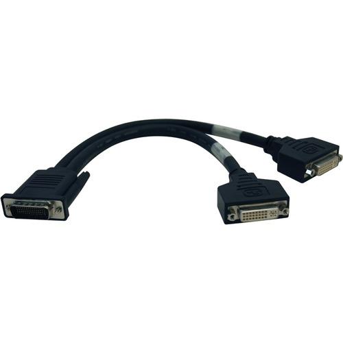 Tripp Lite DMS-59 to 2x DVI-I F Splitter Cable - DMS-59 Male Digital Video - DVI-I (Dual-Link) Female Digital Video - 1ft - Black