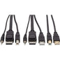 Tripp Lite KVM Cable - 6 ft KVM Cable for KVM Switch, Computer - First End: 1 x Mini-phone Male Audio, First End: 1 x DisplayPort Male Digital Audio/Video, First End: 1 x Type A Male USB - Second End: 1 x Mini-phone Male Audio, Second End: 1 x DisplayPor
