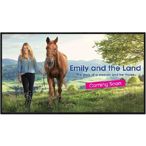 Sharp PNUH431 Digital Signage Display - 42.5" LCD - 3840 x 2160 - Direct LED - 400 cd/m‚² - 2160p - HDMI - USB - SerialEthernet