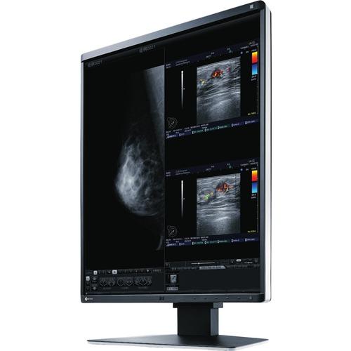 EIZO RadiForce RX560 21.3" QXGA LED LCD Monitor - 4:3 - Black - 2048 x 2560 - 1.07 Billion Colors - 1100 cd/m‚² - 12 ms - DVI - DisplayPort