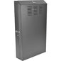 Tripp Lite SmartRack SRWF4U36 Rack Cabinet - For Patch Panel, Server - 4U Rack Height x 19" (482.60 mm) Rack Width - Wall Mountable - Black - Steel - 68.04 kg Maximum Weight Capacity - 68 kg Static/Stationary Weight Capacity