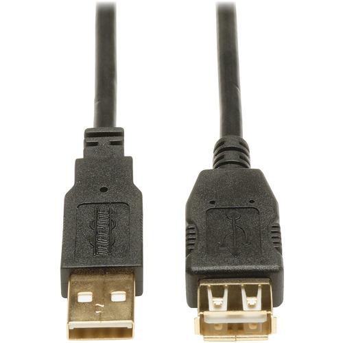 Tripp Lite USB 2.0 Extension Cable - 10 ft USB Data Transfer Cable - First End: 1 x Type A Male USB - Second End: 1 x Type A Female USB - Extension Cable - Black, Gold - 1 Each