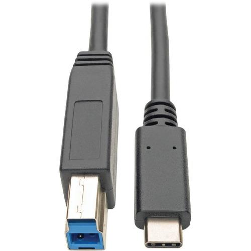 Tripp Lite U422-006 USB Type-C to USB Type-B Cable, 6 ft. - 6 ft USB Data Transfer Cable for Ultrabook, Docking Station, Printer, Tablet, Scanner, Smartphone, Chromebook, External Hard Drive, MacBook, Notebook, Wall Charger - First End: 1 x Type C Male U